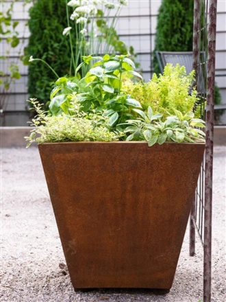 Zašto je Corten Steel savršen za okruglu saksiju?